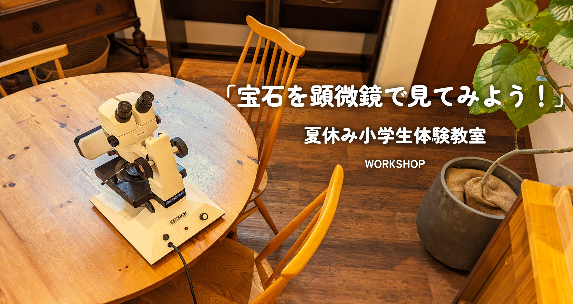 WORKSHOP　夏休み こども宝石教室「宝石を顕微鏡で見てみよう！」